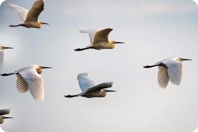 Propelor_Client Story_Loanitt_Image 1